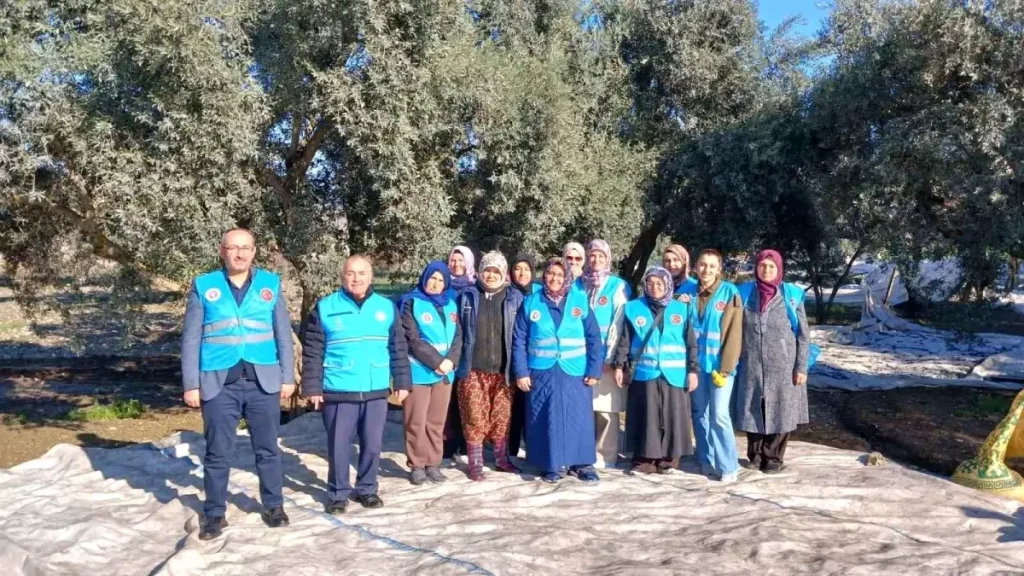 Yatağan’da Zeytin Hasadı ve Bereket Duası: Müftülükten Tarıma Moral Desteği