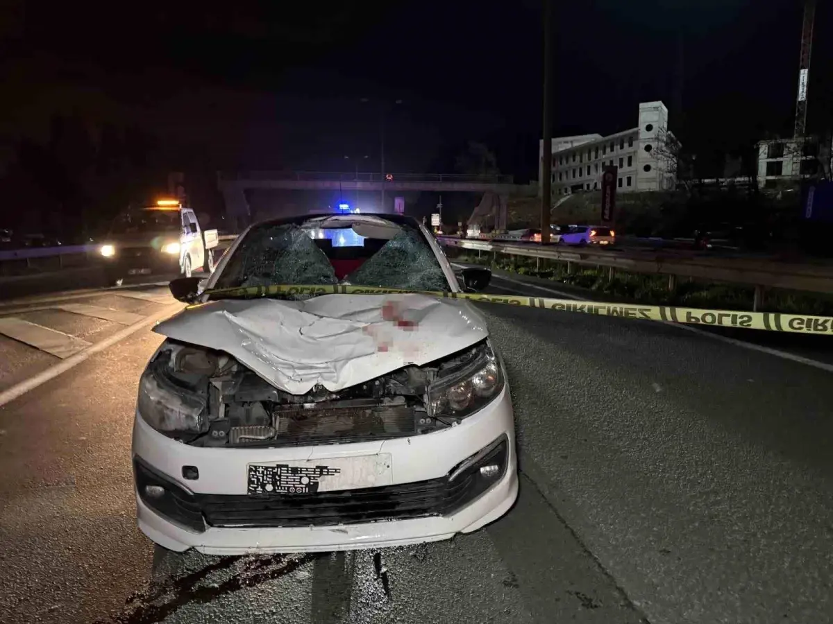 Ehliyetsiz sürücü dehşet saçtı! 70 yaşındaki adam hayatını kaybetti