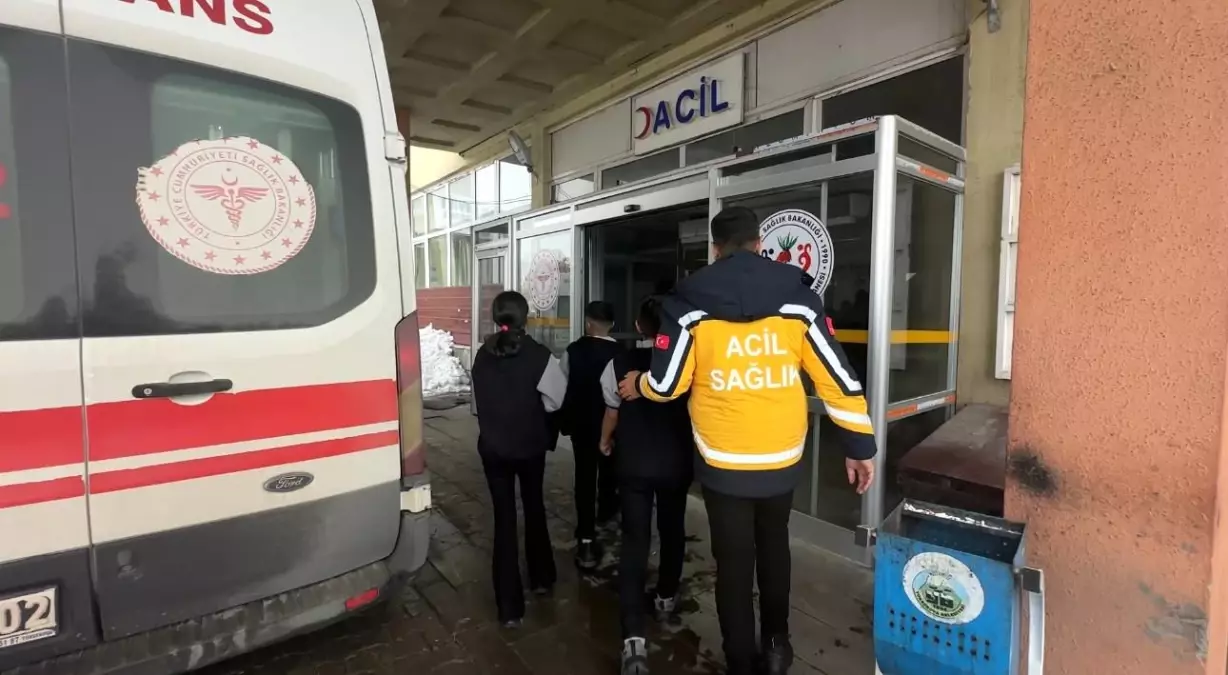 Yüksekova’da Gıda Zehirlenmesi Şüphesi