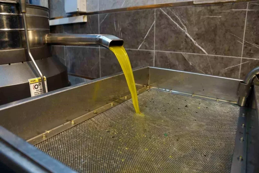 Zeytinyağı Fiyatları Şok Artışla 190 TL’ye Kırıldı!