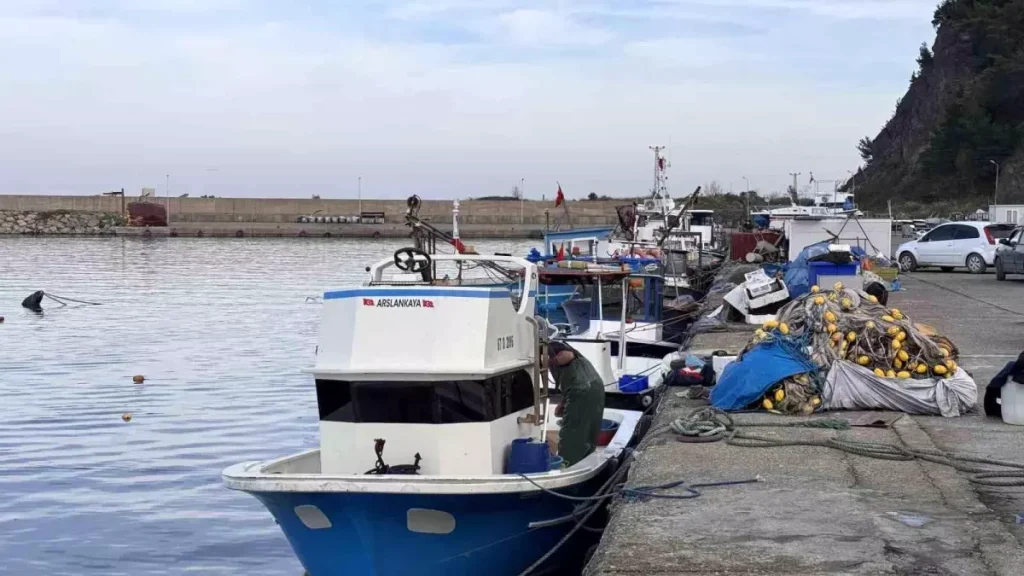 Zonguldak’ta Balıkçılık Sezonu Zayıf