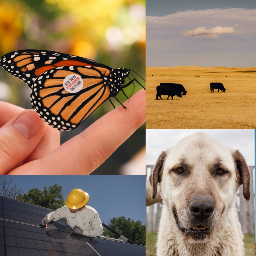 50 States, 50 Solutions: How America Is Tackling Climate Change