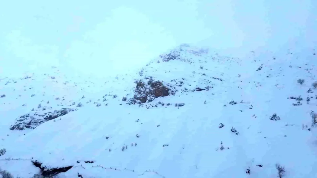 Batman’da Şok Çığ Düşmesi: 45 Keçi Hayatını Kaybetti