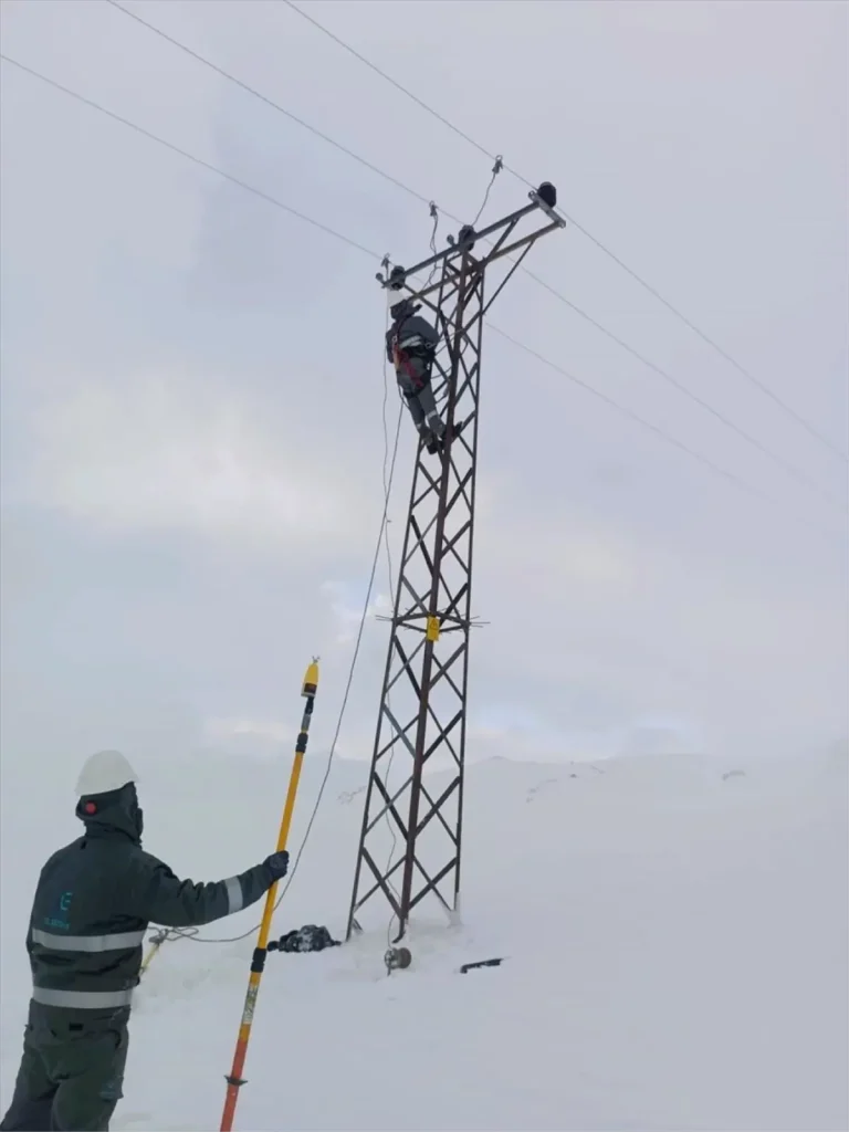 Dicle Elektrik Karla Mücadele Ediyor