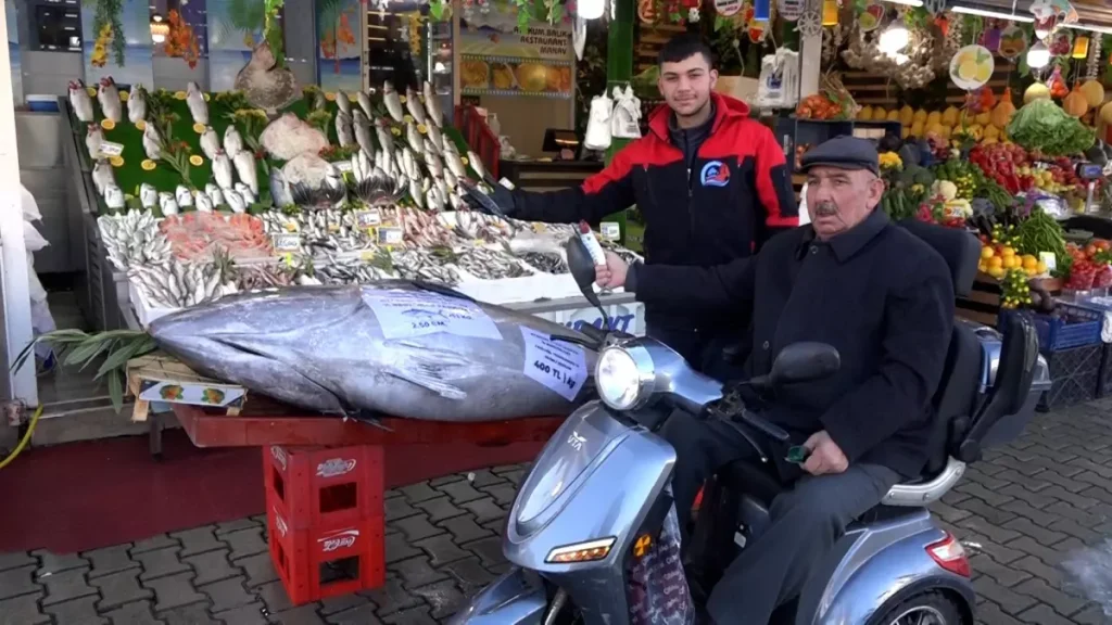 Düzce’de Dev Orkinos Satışta