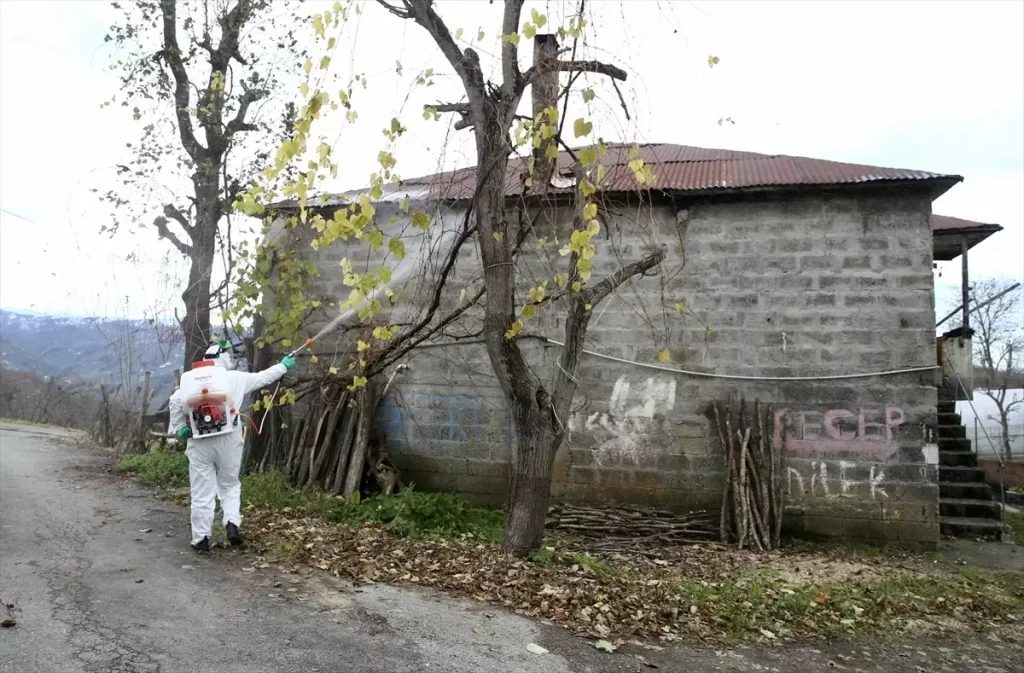 Giresun’da Kahverengi Kokarca ile Kapsamlı Mücadele Hızı Kesmeden Sürüyor