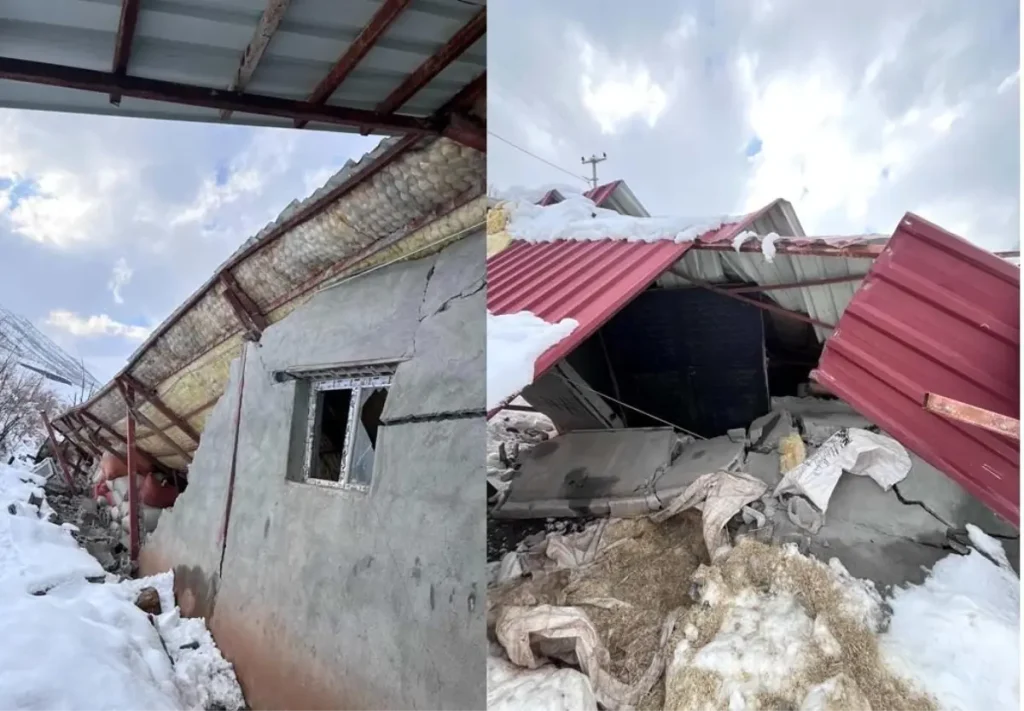 Hakkari’de Ahır Kar Yüküne Dayanamadı