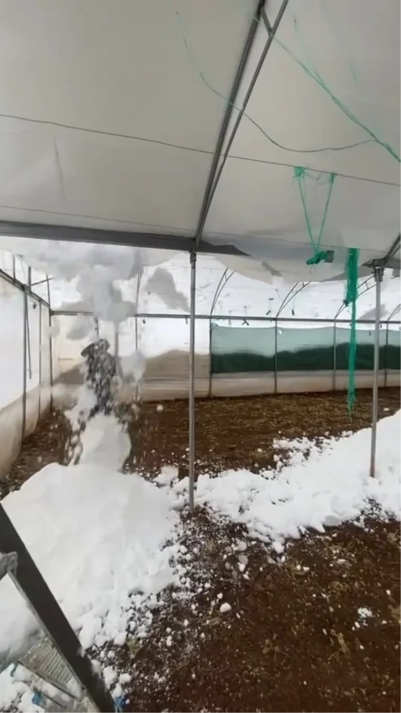 Siirt Baykan’da Yoğun Kar Seraları Ve Camiyi Yıktı