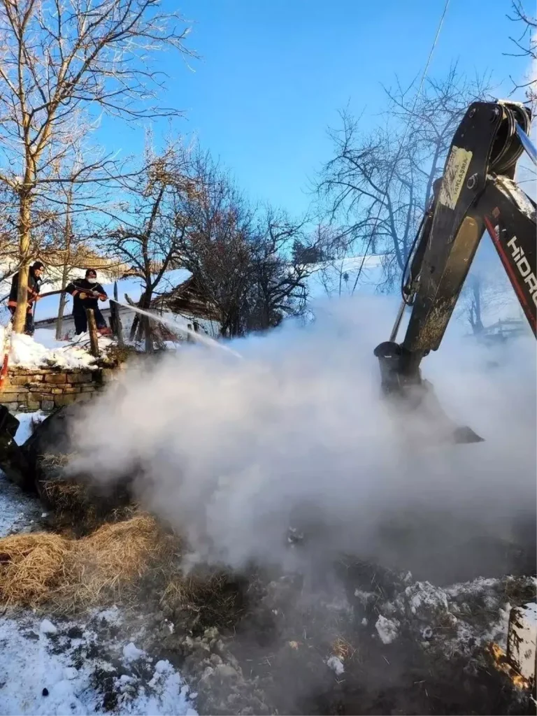 Sinop’ta Ahır Yangını: 9 Büyükbaş Hayvan Telef Oldu
